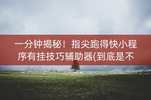 一分钟揭秘！指尖跑得快小程序有挂技巧辅助器(到底是不是有挂)