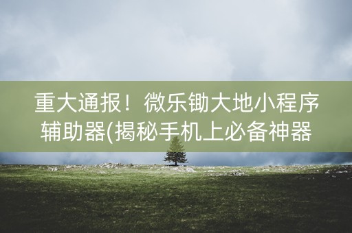 重大通报！微乐锄大地小程序辅助器(揭秘手机上必备神器)