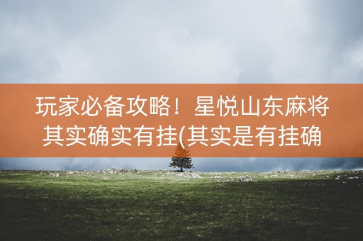 玩家必备攻略！星悦山东麻将其实确实有挂(其实是有挂确实有挂)