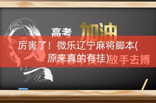 厉害了！微乐辽宁麻将脚本(原来真的有挂)