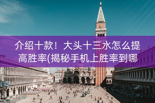 介绍十款！大头十三水怎么提高胜率(揭秘手机上胜率到哪调)