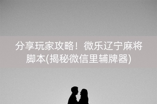分享玩家攻略！微乐辽宁麻将脚本(揭秘微信里辅牌器)