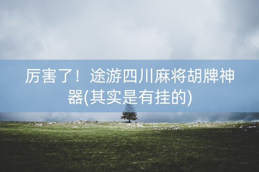 厉害了！途游四川麻将胡牌神器(其实是有挂的)