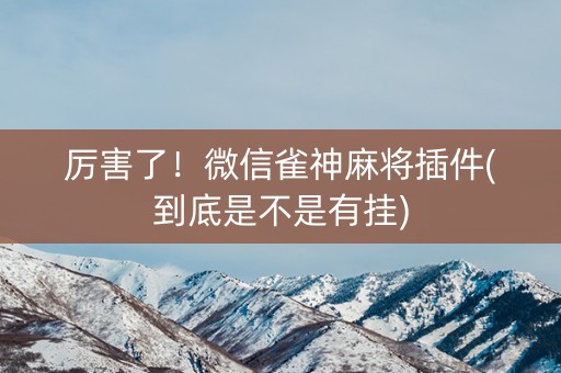 厉害了！微信雀神麻将插件(到底是不是有挂)