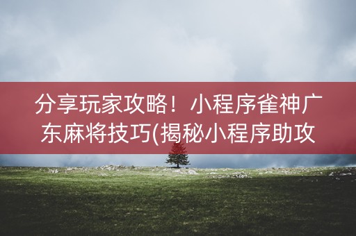 分享玩家攻略！小程序雀神广东麻将技巧(揭秘小程序助攻神器)