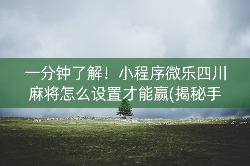 一分钟了解！小程序微乐四川麻将怎么设置才能赢(揭秘手机上提高胜率)
