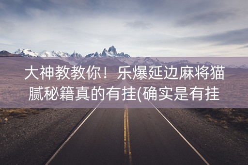 大神教教你！乐爆延边麻将猫腻秘籍真的有挂(确实是有挂的)