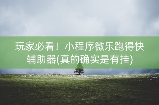 玩家必看！小程序微乐跑得快辅助器(真的确实是有挂)