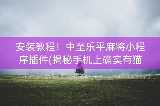 安装教程！中至乐平麻将小程序插件(揭秘手机上确实有猫腻)