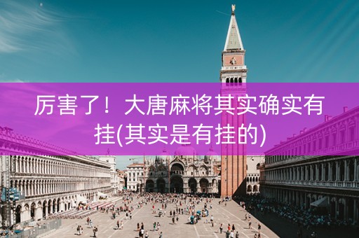 厉害了！大唐麻将其实确实有挂(其实是有挂的)