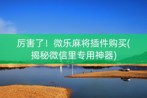 厉害了！微乐麻将插件购买(揭秘微信里专用神器)