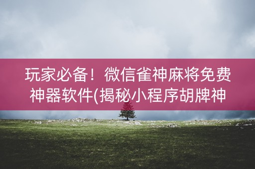 玩家必备！微信雀神麻将免费神器软件(揭秘小程序胡牌神器)