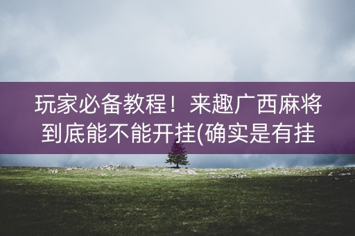 玩家必备教程！来趣广西麻将到底能不能开挂(确实是有挂)