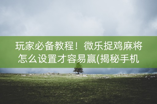 玩家必备教程！微乐捉鸡麻将怎么设置才容易赢(揭秘手机上胡牌技巧)