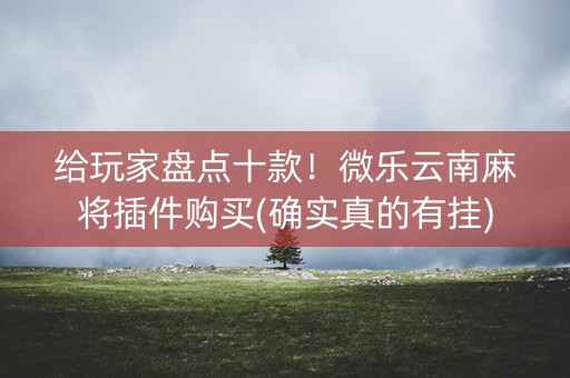 给玩家盘点十款！微乐云南麻将插件购买(确实真的有挂)
