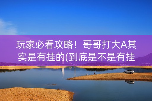 玩家必看攻略！哥哥打大A其实是有挂的(到底是不是有挂)