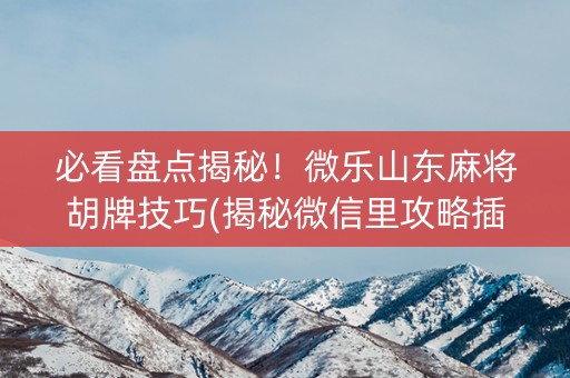 必看盘点揭秘！微乐山东麻将胡牌技巧(揭秘微信里攻略插件)
