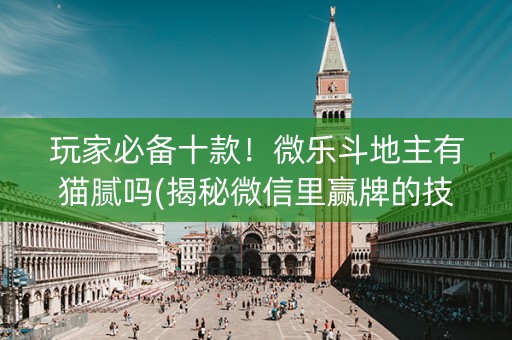 玩家必备十款！微乐斗地主有猫腻吗(揭秘微信里赢牌的技巧)
