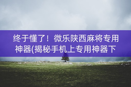 终于懂了！微乐陕西麻将专用神器(揭秘手机上专用神器下载)