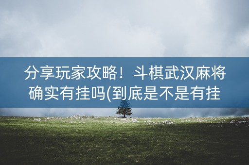 分享玩家攻略！斗棋武汉麻将确实有挂吗(到底是不是有挂)