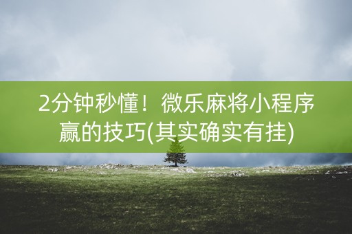 2分钟秒懂！微乐麻将小程序赢的技巧(其实确实有挂)