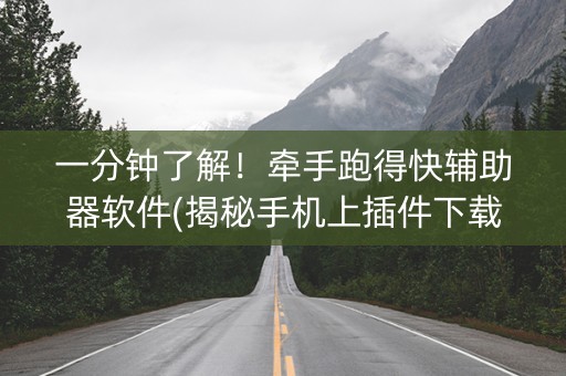 一分钟了解！牵手跑得快辅助器软件(揭秘手机上插件下载)