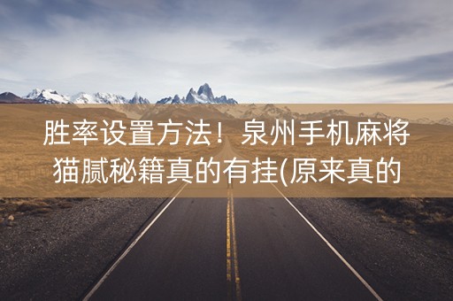 胜率设置方法！泉州手机麻将猫腻秘籍真的有挂(原来真的有挂)