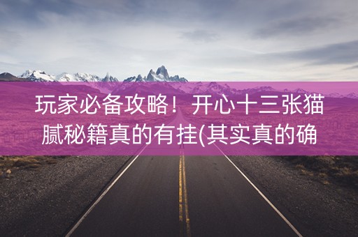 玩家必备攻略！开心十三张猫腻秘籍真的有挂(其实真的确实有挂)