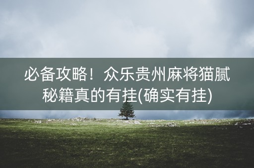 必备攻略！众乐贵州麻将猫腻秘籍真的有挂(确实有挂)