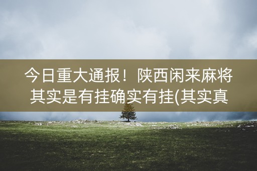 今日重大通报！陕西闲来麻将其实是有挂确实有挂(其实真的确实有挂)