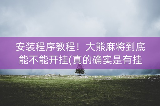 安装程序教程！大熊麻将到底能不能开挂(真的确实是有挂)