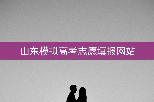 山东模拟高考志愿填报网站