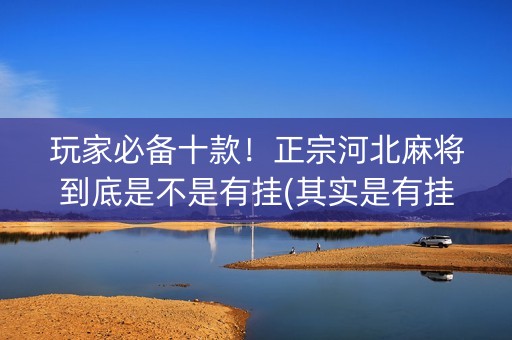 玩家必备十款！正宗河北麻将到底是不是有挂(其实是有挂确实有挂)