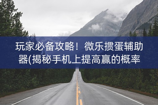 玩家必备攻略！微乐掼蛋辅助器(揭秘手机上提高赢的概率)