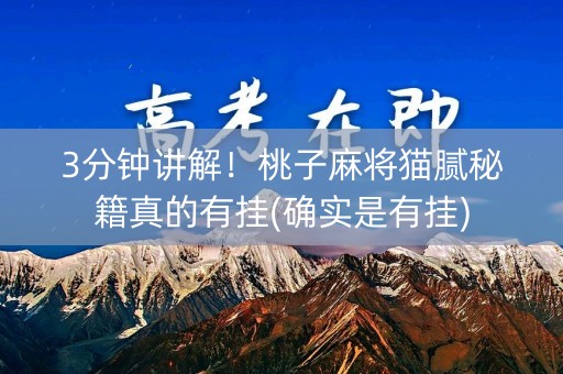 3分钟讲解！桃子麻将猫腻秘籍真的有挂(确实是有挂)