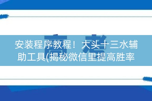 安装程序教程！大头十三水辅助工具(揭秘微信里提高胜率)