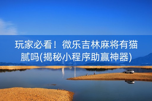 玩家必看！微乐吉林麻将有猫腻吗(揭秘小程序助赢神器)