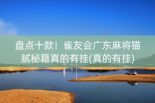 盘点十款！雀友会广东麻将猫腻秘籍真的有挂(真的有挂)
