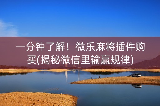 一分钟了解！微乐麻将插件购买(揭秘微信里输赢规律)