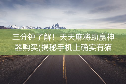 三分钟了解！天天麻将助赢神器购买(揭秘手机上确实有猫腻)