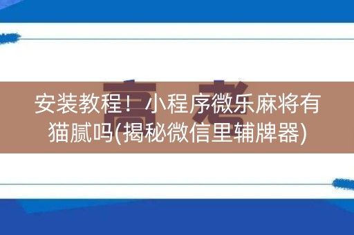 安装教程！小程序微乐麻将有猫腻吗(揭秘微信里辅牌器)