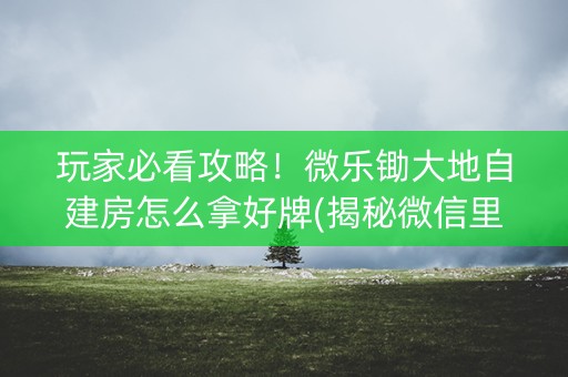 玩家必看攻略！微乐锄大地自建房怎么拿好牌(揭秘微信里输赢技巧)