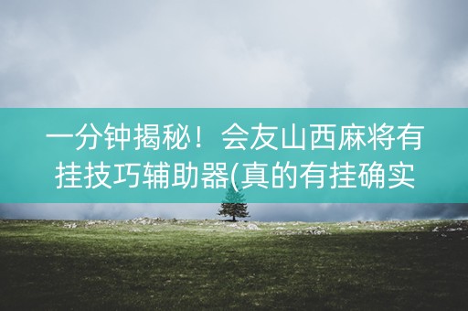 一分钟揭秘！会友山西麻将有挂技巧辅助器(真的有挂确实有挂)