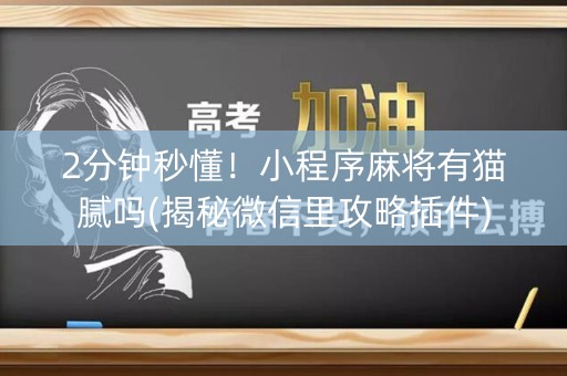 2分钟秒懂！小程序麻将有猫腻吗(揭秘微信里攻略插件)