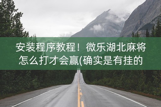 安装程序教程！微乐湖北麻将怎么打才会赢(确实是有挂的)