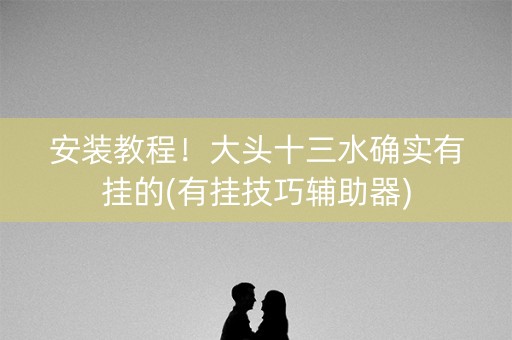 安装教程！大头十三水确实有挂的(有挂技巧辅助器)