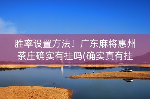 胜率设置方法！广东麻将惠州茶庄确实有挂吗(确实真有挂)