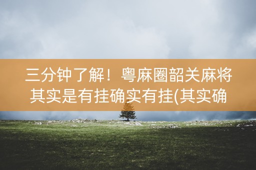 三分钟了解！粤麻圈韶关麻将其实是有挂确实有挂(其实确实有挂)