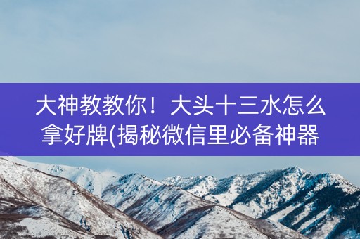 大神教教你！大头十三水怎么拿好牌(揭秘微信里必备神器)