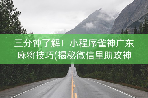 三分钟了解！小程序雀神广东麻将技巧(揭秘微信里助攻神器)
